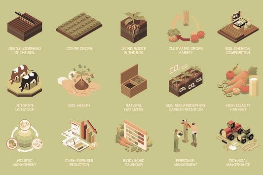 Illustration showing key practices in regenerative agriculture, including soil health, cover crops, livestock integration, carbon retention, natural fertilisers, and holistic farm management.