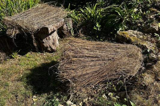 Bundles of retted flax stems drying outdoors on wooden logs, prepared for traditional linen processing.