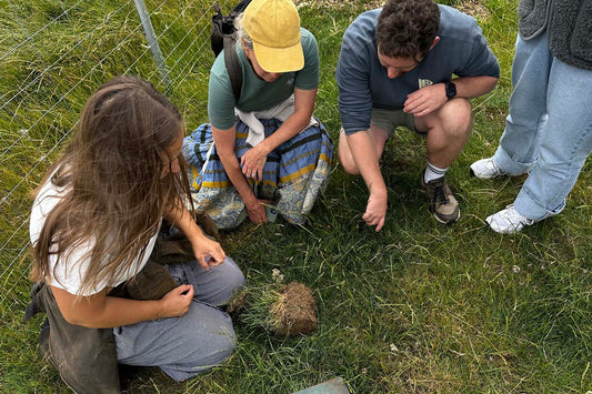 A group of students examining a block of soil during a fieldwork session at Cotmarsh Farm, learning about soil health and regenerative farming practices.