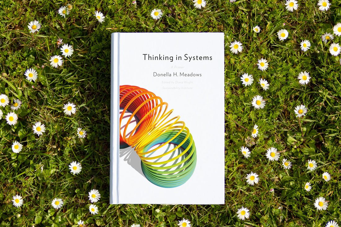 Book Thinking in Systems by Donella H. Meadows lying on green grass with white daisies, photographed for Wilde Hippi Book Club on fashion sustainability.
