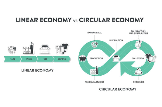 Linear Economy v Circular Economy