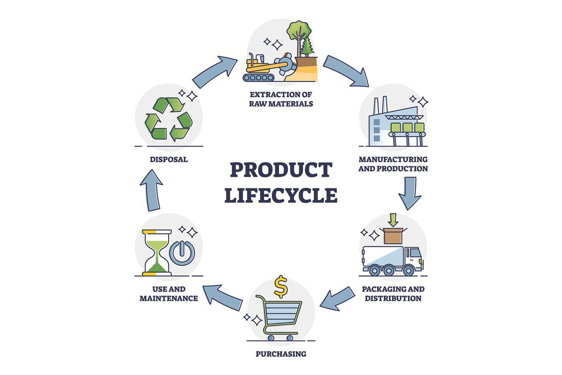 Product Life Cycle infographics