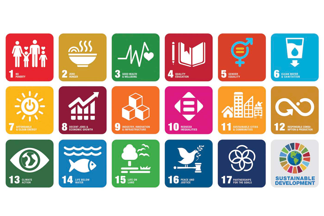 Icons representing the 17 United Nations Sustainable Development Goals.