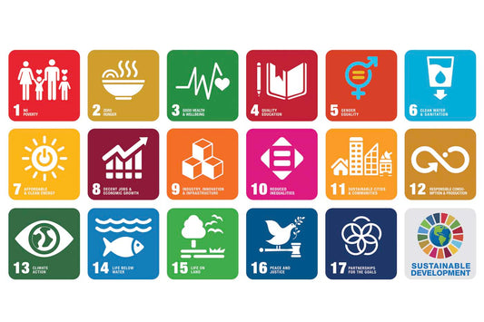 Icons representing the 17 United Nations Sustainable Development Goals.