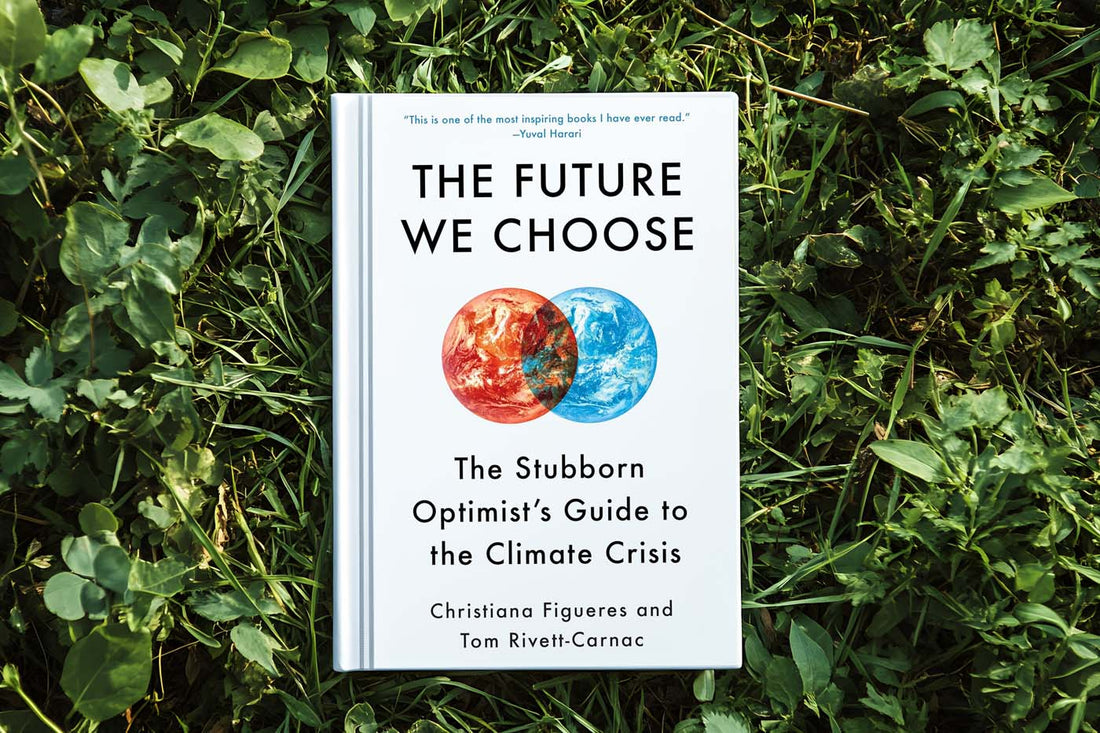 Front cover of 'The Future We Choose' featuring bold black text on a clean white background. Below the title, two small planet illustrations—one red and one blue—symbolize the two possible futures for Earth: destruction or regeneration.