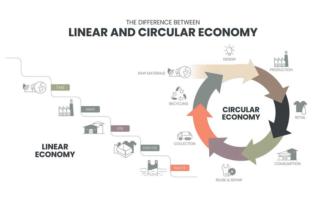 Visual comparison of linear vs circular economy processes.