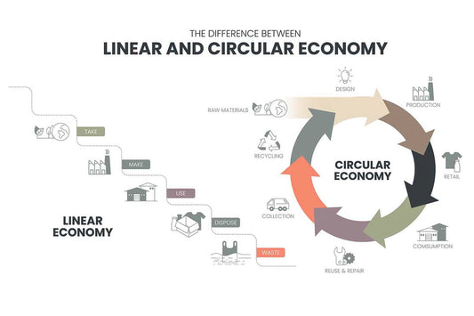 Visual comparison of linear vs circular economy processes.