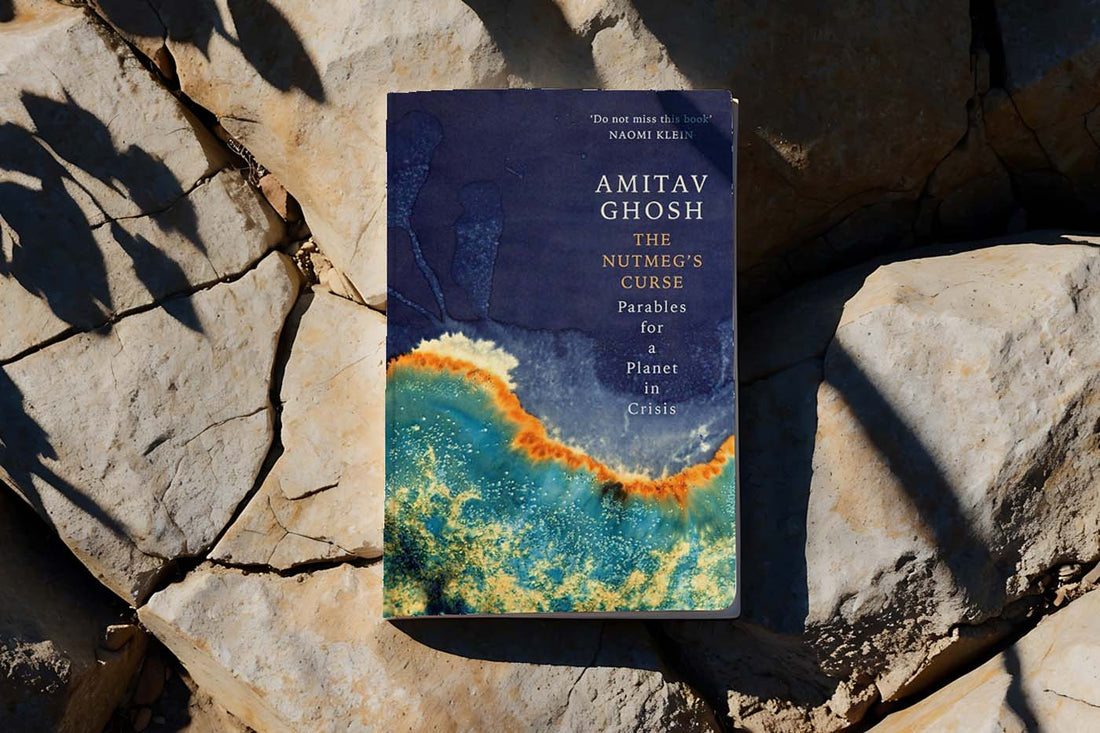 Cover of "The Nutmeg’s Curse" by Amitav Ghosh resting on sunlit rocks, photographed outdoors. The book explores colonialism, ecology, and planetary crisis.