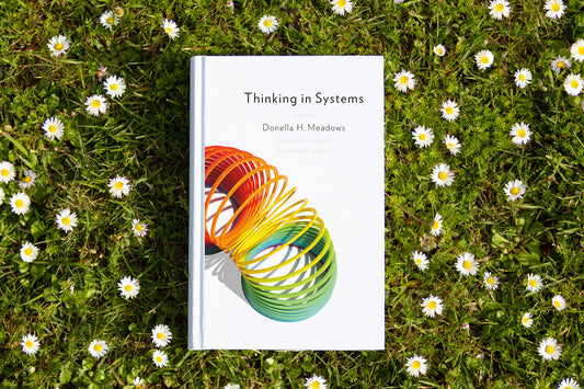 Book Thinking in Systems by Donella H. Meadows lying on green grass with white daisies, photographed for Wilde Hippi Book Club on fashion sustainability.